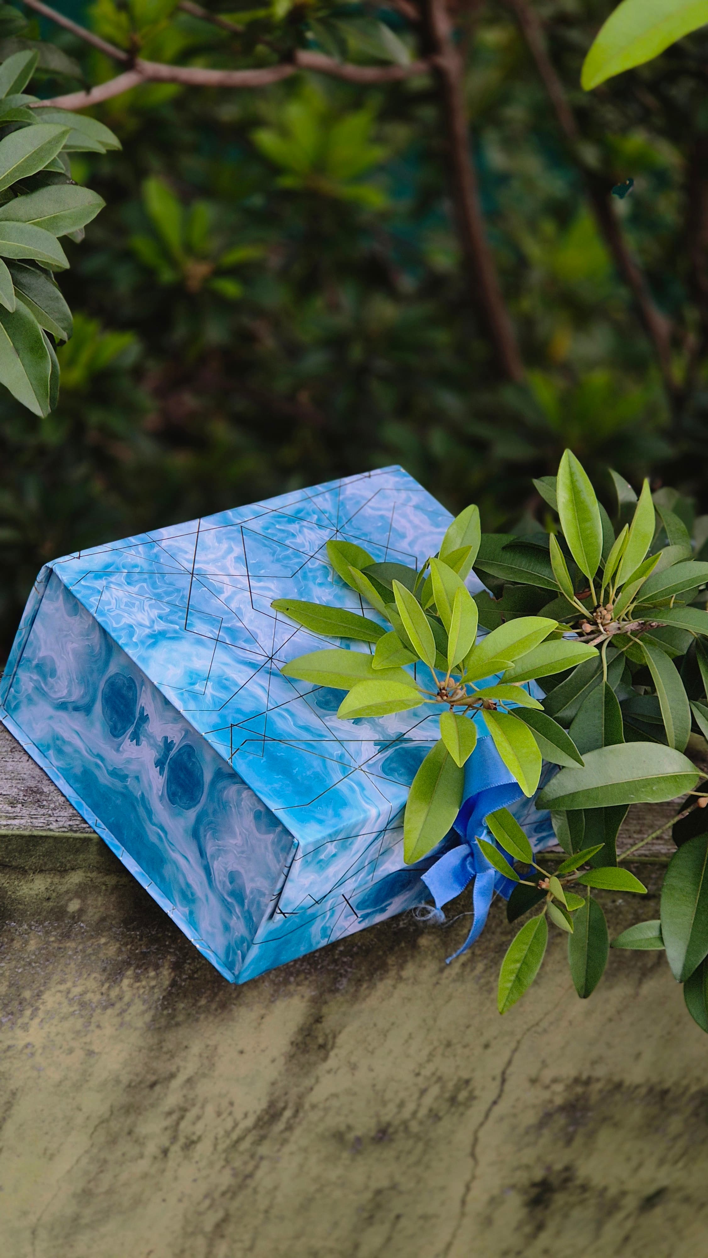 Gift Box